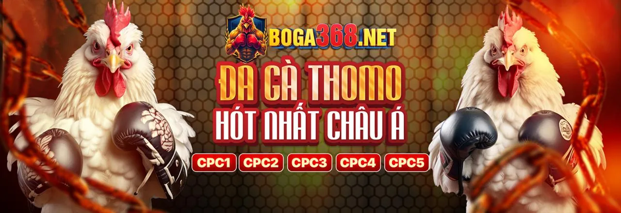 Đá gà trực tuyến t888 đăng nhập 2026