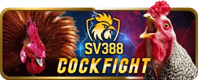 Hoàn trả t888 cao nhất
